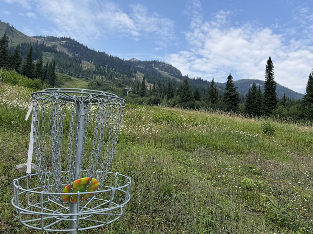 disc golf at kicking horse
