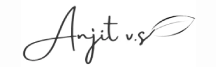 Anjit VS Logo
