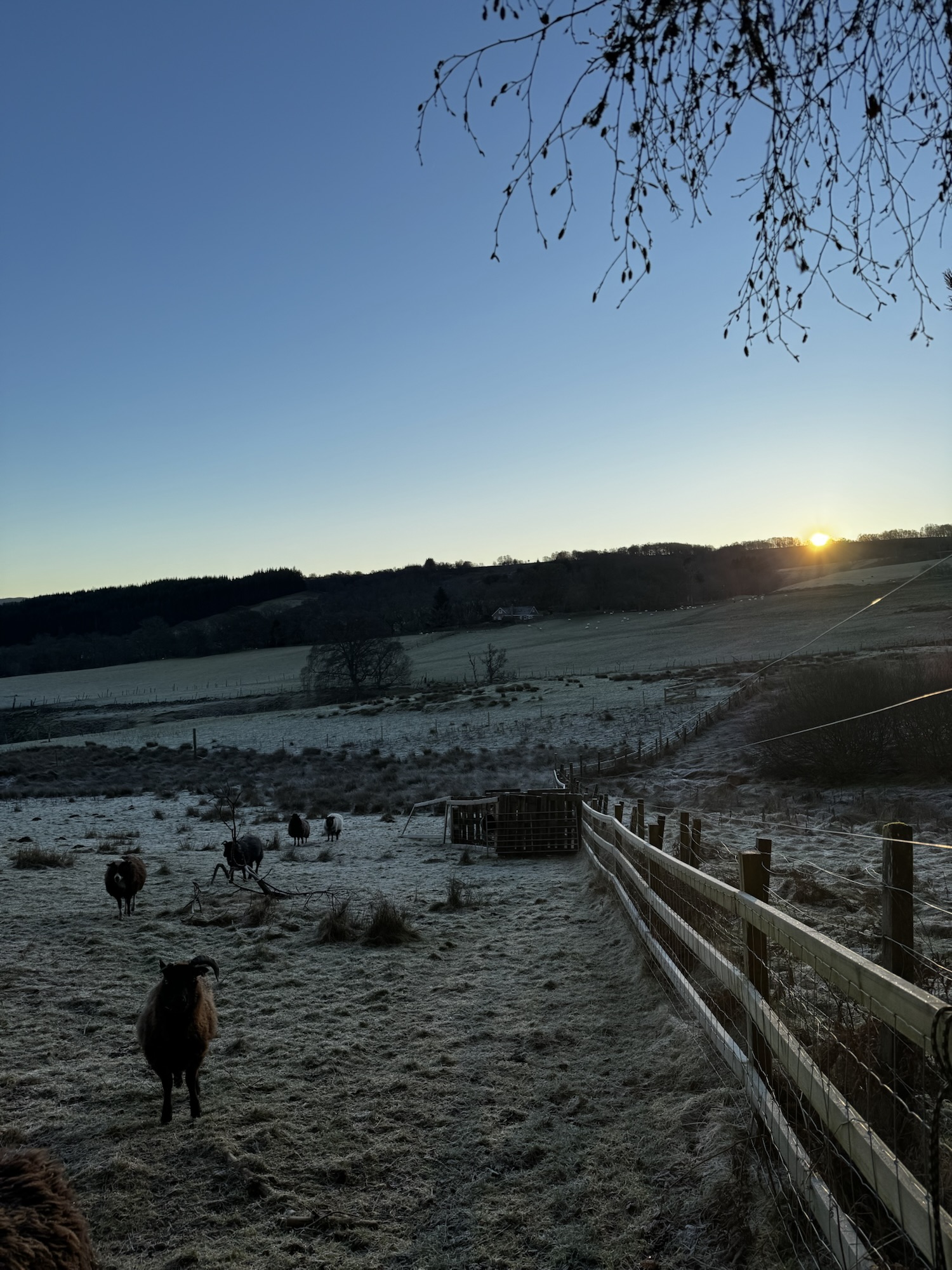 Getting Through Winter – Stylonylon